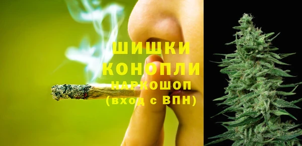 ешки Арсеньев