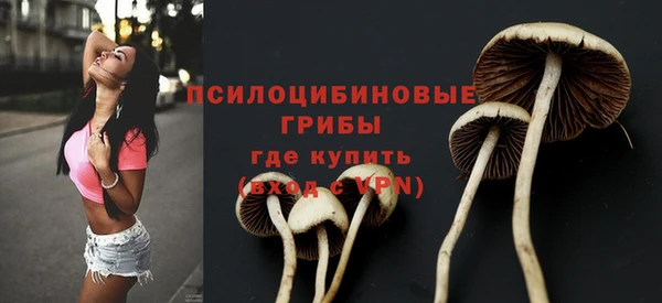 прущая мука Алзамай