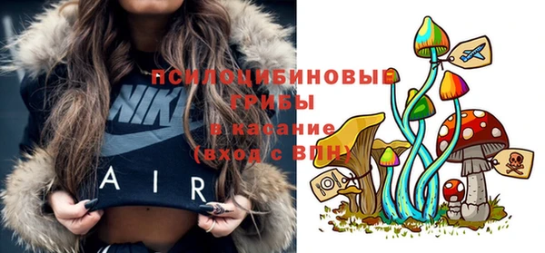 не бодяженный Аркадак