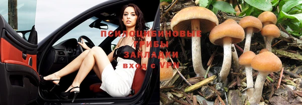 не бодяженный Аркадак