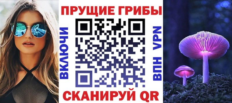 как найти наркотики Пустошка Псилоцибиновые грибы мухоморы