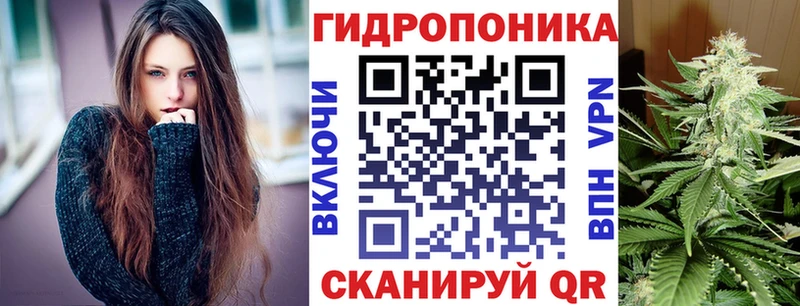 Бошки Шишки SATIVA & INDICA  как найти наркотики  Пустошка 